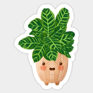 Cute Plant Illustration, Calathea Zebrina Plant Illustration Sticker